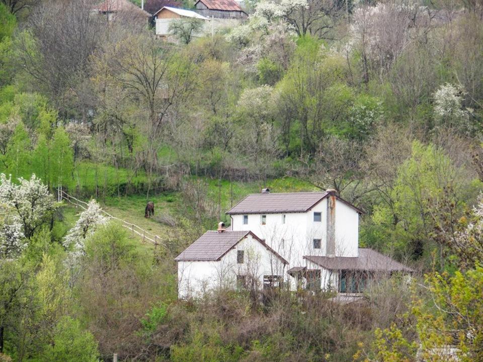 Vila Casa Piscul Lupului Pucioasa Exteriér fotografie