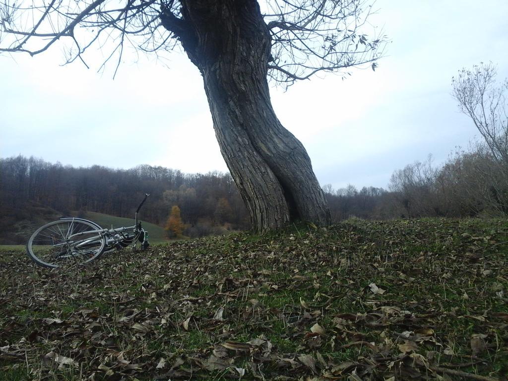 Vila Casa Piscul Lupului Pucioasa Exteriér fotografie